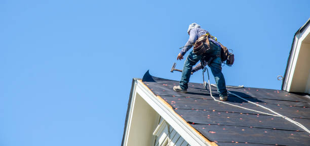 Best Flat Roof Repair Services  in Shorewood, MN